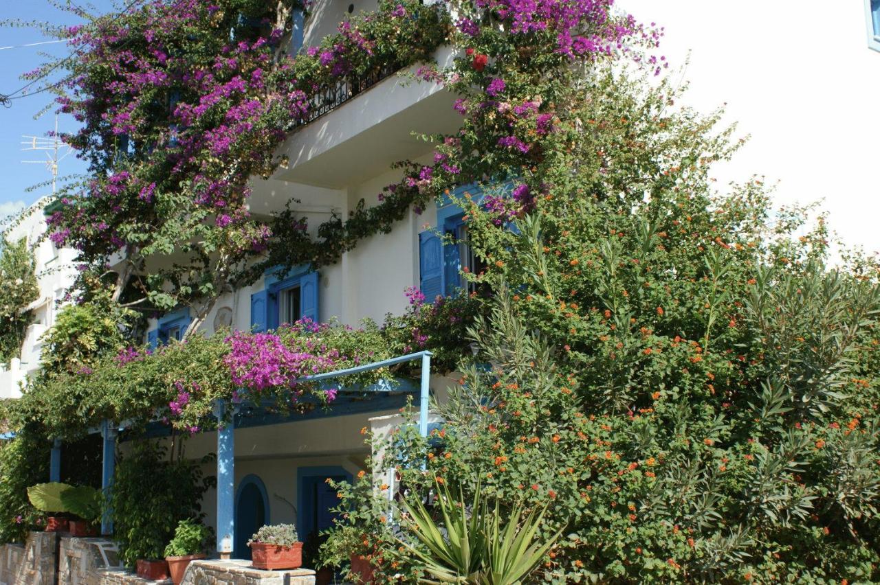 Pension Sofi Naxos City Ngoại thất bức ảnh