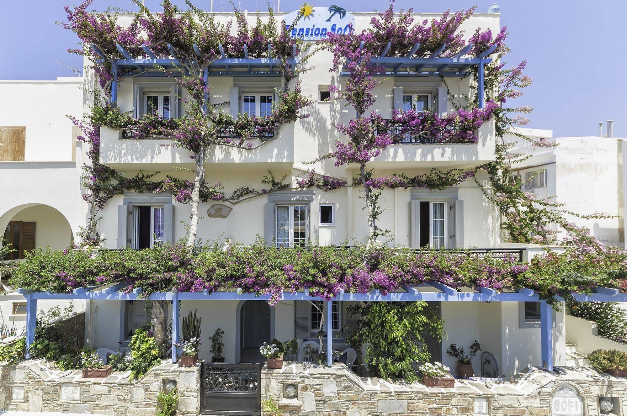 Pension Sofi Naxos City Ngoại thất bức ảnh